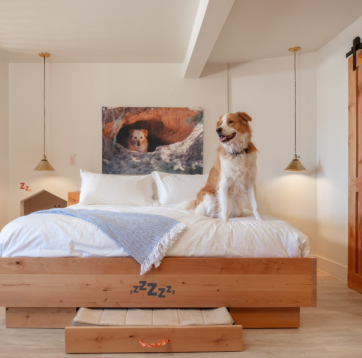 Cabecera-APE-1-1 (1)