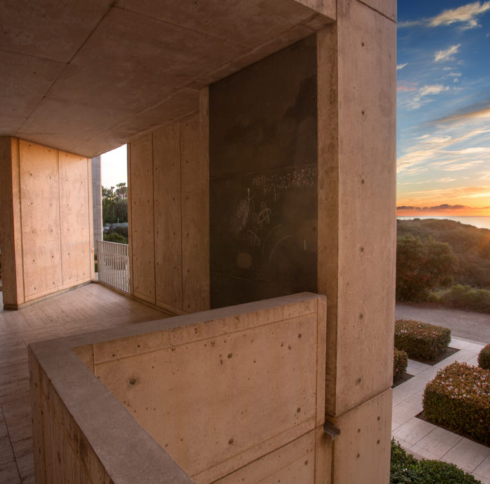 Salk-Sunset-The-New-Habitat